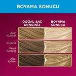 Palette Deluxe Hair Dye - Intense, Long-Lasting Color with Nourishing Properties